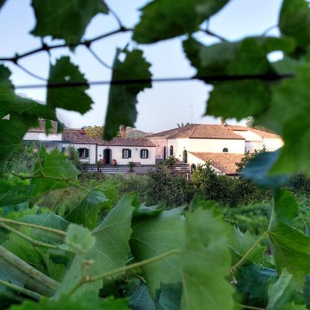 Casa Vacanze Etna Piedimonte Etneo Eksteriør billede
