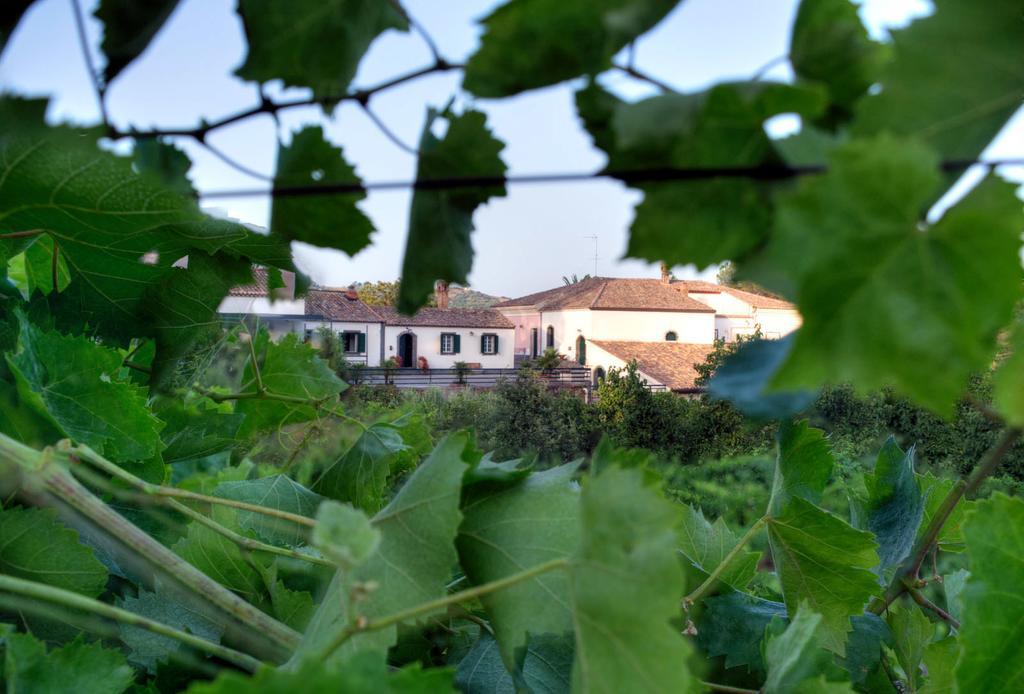 Casa Vacanze Etna Piedimonte Etneo Eksteriør billede