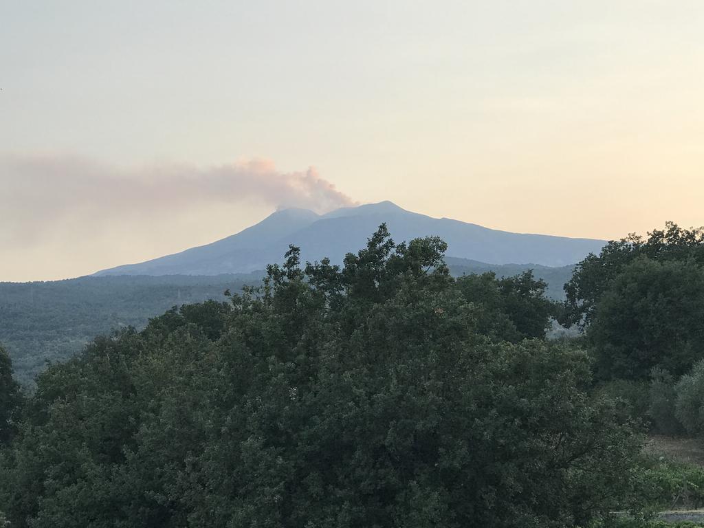 Casa Vacanze Etna Piedimonte Etneo Eksteriør billede