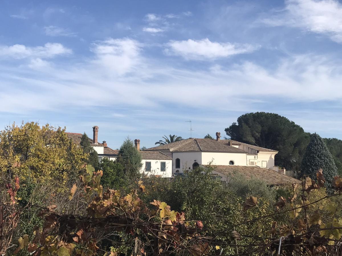 Casa Vacanze Etna Piedimonte Etneo Eksteriør billede